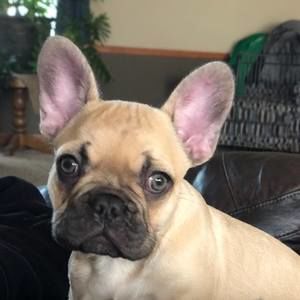 Meet your Posher, Jessi 'west'